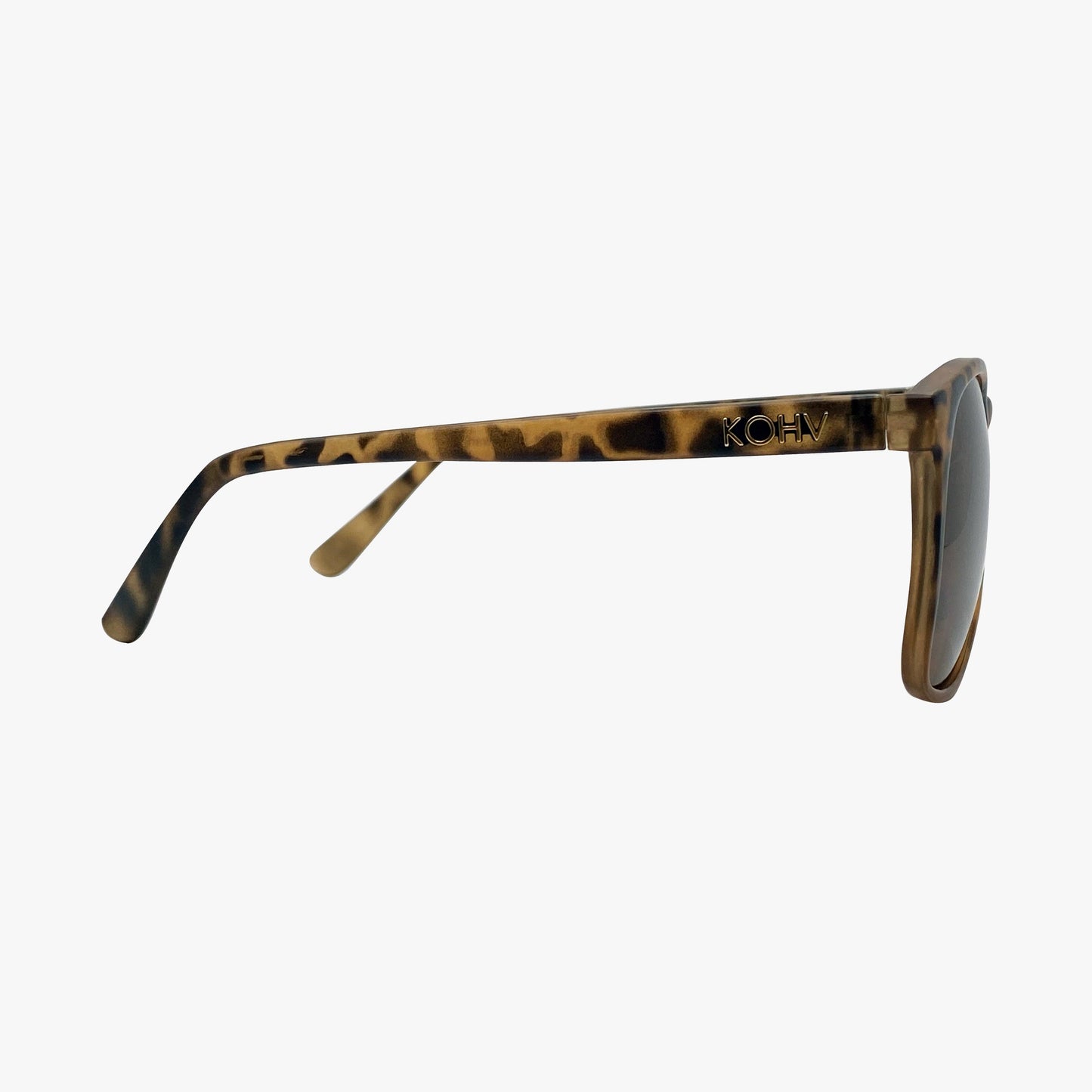 CARNS SAND TORTOISE -  POLARIZED