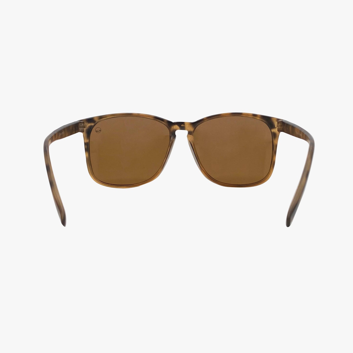 CARNS SAND TORTOISE -  POLARIZED